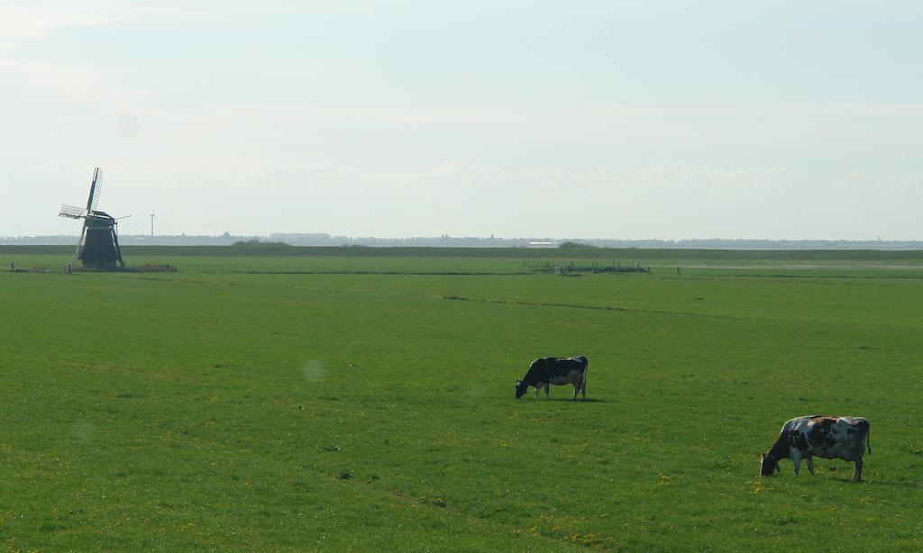 Lyklamastate Nijemirdum Exterior foto
