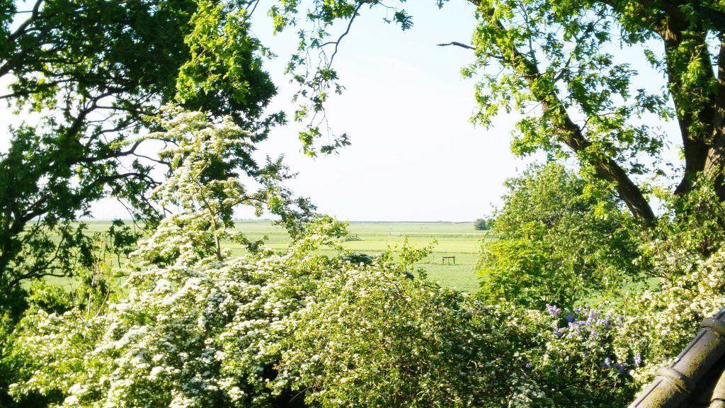 Lyklamastate Nijemirdum Cameră foto